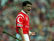4 July 1999; Alan Browne of Cork reacts during the Munster Senior Hurling Championship Final match between Cork and Clare at Semple Stadium in Thurles, Tipperary. Photo by Brendan Moran/Sportsfile