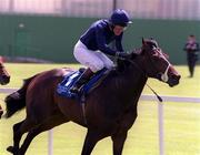 27 June 1999; Bernstein, with Mick Kinane up, on their way to winning the Arthur Guinness Railway Stakes at The Curragh Racecourse in Newbridge, Kildare. Photo by Damien Eagers/Sportsfile