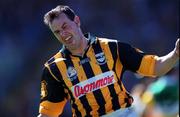 11 July 1999; Brian McEvoy of Kilkenny celebrates after scoring his sides fourth goal during the Leinster Senior Hurling Championship Final match between Kilkenny and Offaly at Croke Park in Dublin. Photo by Ray McManus/Sportsfile