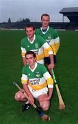 8 April 1994; Brothers and Offaly hurlers, from front, Johnny Dooley, Billy Dooley and Joe Dooley pictured at St Brendan's Park in Birr, Offaly. Photo by Ray McManus/Sportsfile