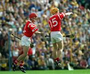 4 July 1999; Joe Deane of Cork, right, celebrates after scoring his side's first goal with team-mate Sean McGrath during the Munster Senior Hurling Championship Final match between Cork and Clare at Semple Stadium in Thurles, Tipperary. Photo by Damien Eagers/Sportsfile