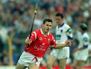 13 June 1999; Kevin Murray of Cork celebrates a late point during the Munster Senior Hurling Championship Semi-Final match between Cork and Waterford at Semple Stadium in Thurles, Tipperary. Photo by Ray McManus/Sportsfile