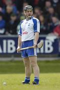 9 April 2006; Paul Flynn, Waterford. Allianz National Hurling League, Division 1A, Round 5, Offaly v Waterford, St. Brendan's Park, Birr, Co. Offaly. Picture credit: David Maher / SPORTSFILE