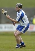 9 April 2006; Paul Flynn, Waterford. Allianz National Hurling League, Division 1A, Round 5, Offaly v Waterford, St. Brendan's Park, Birr, Co. Offaly. Picture credit: David Maher / SPORTSFILE