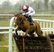 17 April 2006; Patsy Hall, with Timmy Murphy up, clears the last on their way to winning the Racing Post In Ireland Hurdle. Fairyhouse Racecourse, Co. Meath. Picture credit: Pat Murphy / SPORTSFILE