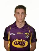 20 May 2014; Eoghan Nolan, Wexford. Wexford Football Squad Portraits 2014, Gold Coast Hotel, Dungarvan, Co.Waterford. Picture credit: Barry Cregg / SPORTSFILE