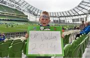 25 May 2014; Ballynanty Rovers supporter Eamon Meehan, aged 7, from Ballynanty, Co. Limerick, ahead of the game. FAI Junior Cup Final in association with Umbro and Aviva, Ballynanty Rovers v St Michael’s Tipperary, Aviva Stadium, Lansdowne Road, Dublin. Picture credit: Barry Cregg / SPORTSFILE