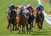 25 May 2014; Intense Style, with Kevin Manning up, on their way to winning the Elusive Pimpernel European Breeders Fund Maiden Dick Whittington, left, with Joseph O'Brien up, who finished second, and Dawn Mirage, with Billy Lee up, who finished third. Curragh Racecourse, The Curragh, Co. Kildare. Picture credit: Matt Browne / SPORTSFILE