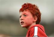 25 May 2014; A young Derry fan watching the game. Ulster GAA Football Senior Championship Quarter-Final, Derry v Donegal, Celtic Park, Derry. Picture credit: Oliver McVeigh / SPORTSFILE