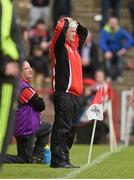 25 May 2014; Derry manager Brian McIver during the final minute of the game. Ulster GAA Football Senior Championship Quarter-Final, Derry v Donegal, Celtic Park, Derry. Picture credit: Pat Murphy / SPORTSFILE