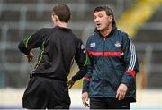 25 May 2014; Cork manager Jimmy Barry Murphy speaks to fourth official John O'Brien during the final moments of the game. Munster GAA Hurling Senior Championship, Quarter-Final, Cork v Waterford, Semple Stadium, Thurles, Co. Tipperary. Picture credit: Diarmuid Greene / SPORTSFILE
