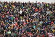 25 May 2014; Supporters look on during the game. Ulster GAA Football Senior Championship Quarter-Final, Derry v Donegal, Celtic Park, Derry. Picture credit: Oliver McVeigh / SPORTSFILE