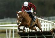 27 April 2006; Asian Maze, with Ruby Walsh up, jumps the last on their way to winning the Whitewater Champion Stayers' Hurdle. Punchestown Racecourse, Co. Kildare. Picture credit: Matt Browne / SPORTSFILE