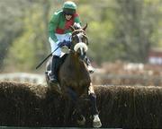 28 April 2006; Wonderkid, with Johnny Farrelly up, on their way to winning the Kildare Hunt Club Steeplechase. Punchestown Racecourse, Co. Kildare. Picture credit: Matt Browne / SPORTSFILE