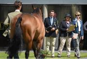 28 May 2014; Judges watch on as William Fox-Pitt leads Gaucho through the Tattersalls International Horse Trials CCI3 First Horse Inspection. Tattersall House, Ratoath, Co. Meath. Picture credit: Ramsey Cardy / SPORTSFILE