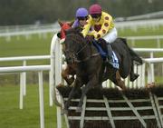 26 April 2006; Rights Of Man, with Patrick Flood up, clears the last during the Blue Square Handicap Hurdle. Punchestown Racecourse, Co. Kildare. Picture credit: Brian Lawless / SPORTSFILE