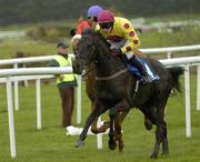 26 April 2006; Rights Of Man, with Patrick Flood up, in action during the Blue Square Handicap Hurdle. Punchestown Racecourse, Co. Kildare. Picture credit: Brian Lawless / SPORTSFILE