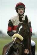 26 April 2006; Watson Lake, with Paul Carberry up, during the pre race parade. Punchestown Guinness Gold Cup. Punchestown Racecourse, Co. Kildare. Picture credit: Brian Lawless / SPORTSFILE