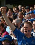 31 May 2014; A Leinster fan show his support ahead of the game. Celtic League 2013/14 Grand Final, Leinster v Glasgow Warriors, RDS, Ballsbridge, Dublin. Picture credit: Stephen McCarthy / SPORTSFILE