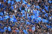 31 May 2014; Leinster supporters cheer a score for their side in the first half. Celtic League 2013/14 Grand Final, Leinster v Glasgow Warriors, RDS, Ballsbridge, Dublin. Picture credit: Brendan Moran / SPORTSFILE