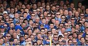 31 May 2014; Leinster supporters watch on during the game. Celtic League 2013/14 Grand Final, Leinster v Glasgow Warriors, RDS, Ballsbridge, Dublin. Picture credit: Stephen McCarthy / SPORTSFILE