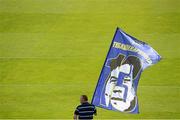 31 May 2014; A Leinster supporter holds a flag with the face and jersey number of Brian O'Driscoll on it. Celtic League 2013/14 Grand Final, Leinster v Glasgow Warriors, RDS, Ballsbridge, Dublin. Picture credit: Brendan Moran / SPORTSFILE