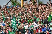 1 June 2014; Limerick supporters on the town end terraces. Munster GAA Hurling Senior Championship, Semi-Final, Tipperary v Limerick, Semple Stadium, Thurles, Co. Tipperary. Picture credit: Ray McManus / SPORTSFILE