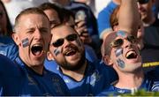 31 May 2014; Leinster supporters urge on their side. Celtic League 2013/14 Grand Final, Leinster v Glasgow Warriors, RDS, Ballsbridge, Dublin. Picture credit: Stephen McCarthy / SPORTSFILE