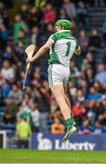 1 June 2014; Limerick goalkeeper Nickie Quaid celebrates at the final whistle. Munster GAA Hurling Senior Championship, Semi-Final, Tipperary v Limerick, Semple Stadium, Thurles, Co. Tipperary. Picture credit: Ray McManus / SPORTSFILE
