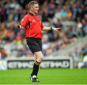 1 June 2014; Referee Barry Kelly. Munster GAA Hurling Senior Championship, Semi-Final, Tipperary v Limerick, Semple Stadium, Thurles, Co. Tipperary. Picture credit: Ray McManus / SPORTSFILE