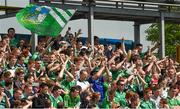 1 June 2014; Limerick supporters at the game. Munster GAA Hurling Senior Championship, Semi-Final, Tipperary v Limerick, Semple Stadium, Thurles, Co. Tipperary. Picture credit: Diarmuid Greene / SPORTSFILE