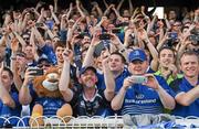 31 May 2014; Leinster supporters following their side's victory. Celtic League 2013/14 Grand Final, Leinster v Glasgow Warriors, RDS, Ballsbridge, Dublin. Picture credit: Stephen McCarthy / SPORTSFILE