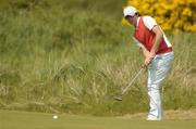 12 May 2006; Rory McIlroy, watches his putt on the 16th green during the first round. The Irish Amateur Open Championship, Portmarnock Golf Club, Portmarnock, Co. Dublin. Picture credit: Matt Browne / SPORTSFILE