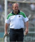 1 June 2014; Limerick selector Davy Clarke. Munster GAA Hurling Senior Championship, Semi-Final, Tipperary v Limerick, Semple Stadium, Thurles, Co. Tipperary. Picture credit: Diarmuid Greene / SPORTSFILE