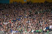 1 June 2014; Supporters during the game. Munster GAA Hurling Senior Championship, Semi-Final, Tipperary v Limerick, Semple Stadium, Thurles, Co. Tipperary. Picture credit: Diarmuid Greene / SPORTSFILE