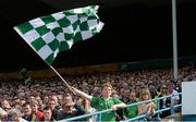 1 June 2014; Limerick supporter James Quinn, aged 11, from Kilfinane, Co. Limerick. Munster GAA Hurling Senior Championship, Semi-Final, Tipperary v Limerick, Semple Stadium, Thurles, Co. Tipperary. Picture credit: Diarmuid Greene / SPORTSFILE