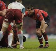 20 May 2006; Ian Dowling, Munster. Heineken Cup final, Munster v Biarritz Olympique, Millennium Stadium, Cardiff, Wales. Picture credit; Brian Lawless / SPORTSFILE