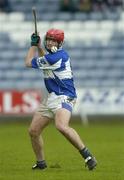21 May 2006; James Young, Laois. Guinness Leinster Senior Hurling Championship, Quarter-final, Laois v Offaly, O'Moore Park, Portlaoise, Co. Laois. Picture credit; Brendan Moran / SPORTSFILE