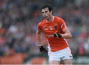 8 June 2014; Aaron Findon, Armagh. Ulster GAA Football Senior Championship, Quarter-Final, Armagh v Cavan, Athletic Grounds, Armagh. Picture credit: Ramsey Cardy / SPORTSFILE