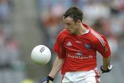 14 May 2006; Martin Farrelly, Louth. Bank of Ireland Leinster Senior Football Championship, Round 1, Meath v Louth, Croke Park, Dublin. Picture credit; David Maher / SPORTSFILE