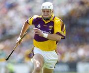 11 June 2006; David O'Connor, Wexford. Guinness Leinster Senior Hurling Championship, Semi-Final, Offaly v Wexford, Nowlan Park, Kilkenny. Picture credit: Damien Eagers / SPORTSFILE