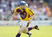 11 June 2006; Rory Jacob, Wexford. Guinness Leinster Senior Hurling Championship, Semi-Final, Offaly v Wexford, Nowlan Park, Kilkenny. Picture credit: Damien Eagers / SPORTSFILE