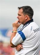 15 June 2014; Clare manager Davy Fitzgerald near the end of the game. Munster GAA Hurling Senior Championship, Semi-Final, Clare v Cork, Semple Stadium, Thurles, Co. Tipperary. Picture credit: Ray McManus / SPORTSFILE