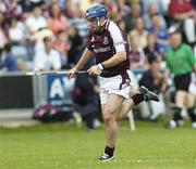 17 June 2006; David Forde, Galway. Guinness All-Ireland Senior Hurling Championship Qualifier, Round 1, Laois v Galway, O'Moore Park, Portlaoise, Co. Laois. Picture credit: Brian Lawless / SPORTSFILE