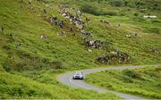 21 June 2014; Declan Boyle and Brian Boyle, Subaru Impreza WRC, in action during SS 8 at the Donegal International Rally, Knockalla, Portsalon, Co. Donegal. Picture credit: Barry Cregg / SPORTSFILE