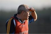 21 June 2014; Wicklow manager Harry Murphy. GAA Football All-Ireland Senior Championship, Round 1A, Wicklow v Offaly, Aughrim GAA Grounds, Aughrim, Co. Wicklow. Picture credit: Dáire Brennan / SPORTSFILE