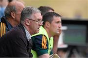 25 June 2014; Offaly county board member Pat Teehan. Bord Gáis Energy Leinster GAA Hurling Under 21 Championship, Semi-Final, Wexford v Offaly, Wexford Park, Wexford. Picture credit: Matt Browne / SPORTSFILE