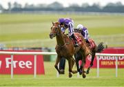 28 June 2014: Australia, with Joseph O'Brien up, pull away from Kingfisher, with Colm O'Donoghue up, on their way to winning the Dubai Duty Free Irish Derby. Curragh Racecourse, The Curragh, Co. Kildare. Picture credit: Barry Cregg / SPORTSFILE