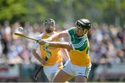 29 June 2014: Shane Dooley, Offaly, before scoring a point. GAA Hurling All-Ireland Senior Championship, Round 1, Antrim v Offaly, Ballycastle, Co. Antrim. Picture credit: Oliver McVeigh / SPORTSFILE