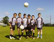 13 July 2006; At the North Dublin Cul camp are, from left, Aaron Bradley, from Clonee, Daniel Brophy, Daniel Brennan, Cathal Derivan, Alan Doherty and Aaron Doyle, all from Leixlip. The GAA Vhi Cul Camps have been extremely popular to date and are expected to attract a record 75,000 children over the summer months. The camps run through until August 25th. Erins Isle GAA Club, Co. Dublin. Picture credit: Damien Eagers / SPORTSFILE